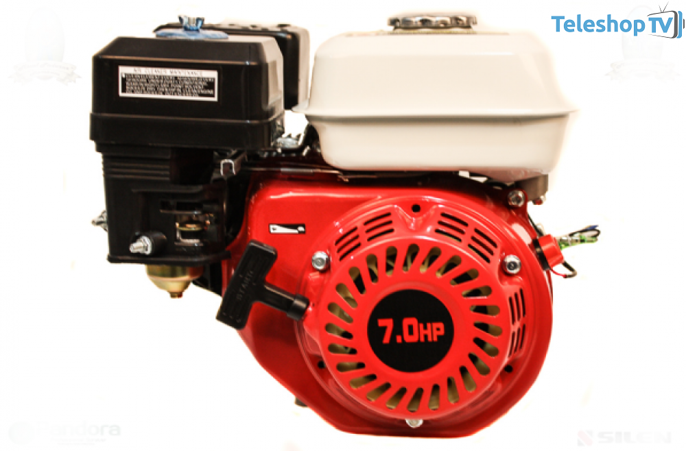 Motor Pe Benzina 7.0 Cp Micul Fermier