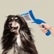 Perie Animale Zoom Oferta Limitata
